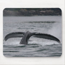Whale mousepads