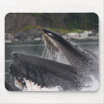 Whale mousepads