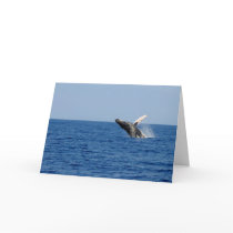 Whale of a Time Greeting Card