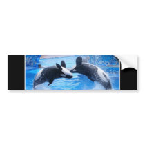 Whale Photo Bumper Sticker