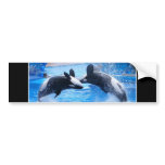 Whale Photo Bumper Sticker bumper stickers