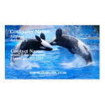 Whale Photo Business Card
