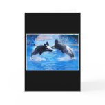 Whale Photo Greeting Card