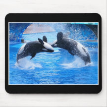 Whale Photo Mouse Pad