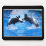 Whale Photo Mouse Pad mousepads