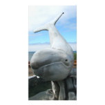 Whale photo cards