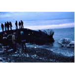 Whale photo sculptures