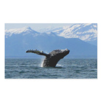 Whale Playtime; No Text Rectangular Stickers