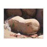 Whale Rock, Globe, Arizona Postcards