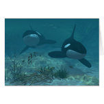 Whale Scene cards