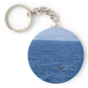 Whale Seen From One Of The Whale Tour Boats In San keychains