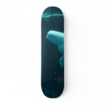whale skate board decks
