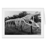 Whale Skeleton Alaska 1922 cards