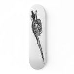 Whale Skeleton Board skateboards