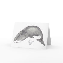 whale songs greeting cards