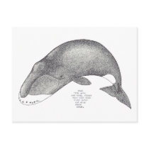 whale songs postcard