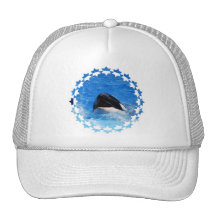 Whale Sounds Baseball Hat