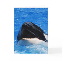Whale Sounds Greeting Card