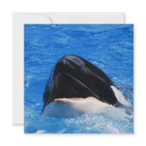 Whale Sounds Invitations