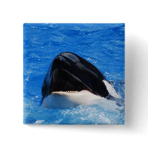 Whale Sounds Pin