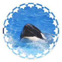 Whale Sounds Stickers