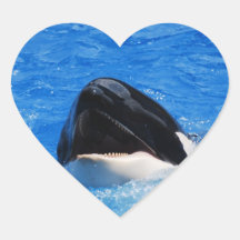 Whale Sounds Stickers