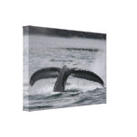 whale stretched canvas print