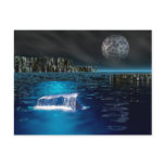 Whale Tail Postcard