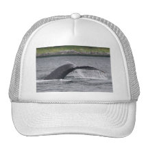 whale trucker hats