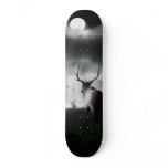Whale Watch skateboards