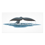 Whale Watcher Custom Photo Card