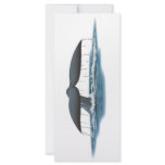 Whale Watcher rack cards