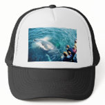 Whale Watching (Humpback) hats