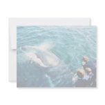 Whale Watching (Humpback) invitations