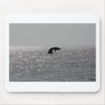 Whale-watching - Southern right whale print Mouse Mat