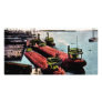 Whalebacks at Belle Isle, Michigan Picture Card