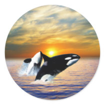 Whales at sunset