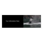 whales business cards