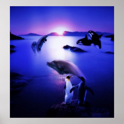 Whales dolphins penguins ocean sunset Poster