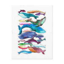 Whales, Dolphins & Porpoises postcards
