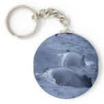 whales keychains