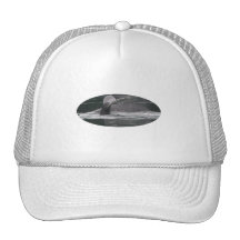 whales mesh hat