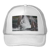 whales mesh hats