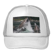 whales mesh hats