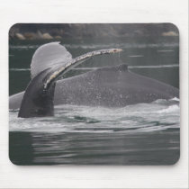Whales mousepads