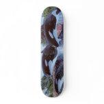 WHALES skateboards