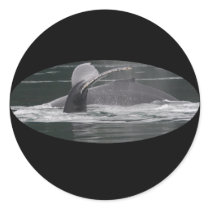 whales