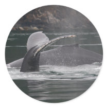 whales