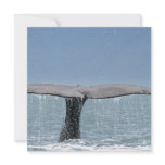 Whale's Tail Invitations