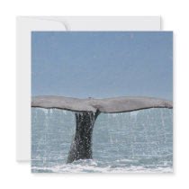 Whale's Tail Invitations